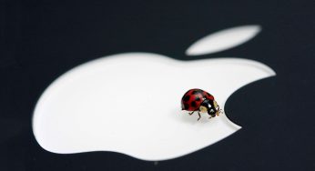 Apple 200 bin dolarlık açık bulma programı başlattı