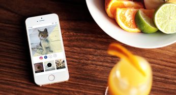 Prisma filtreleri offline çalışacak