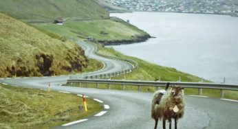 Google Street View için koyunlardan sonra yürüyüşçüler görev yapacak