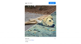 Instagram’a yeni bir rakip geldi: Prisma