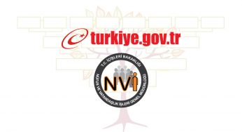 E-devlet kapısında soy ağacı sorgulama hizmeti yeniden devreye alındı
